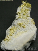 Specimen Gold  167
