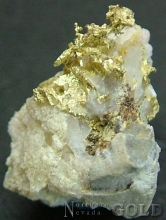 Specimen Gold 1960Shosh