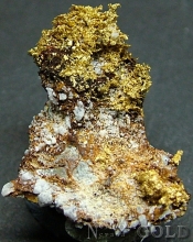 Specimen Gold 2190PAM