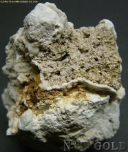 Specimen Gold  1480