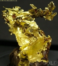 Specimen Gold  1028