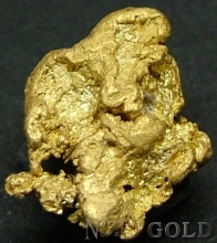 2100B_DG