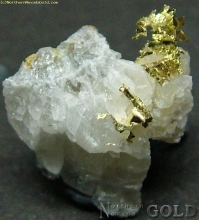 Specimen Gold  1765