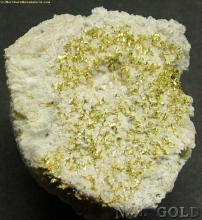 Specimen Gold  84