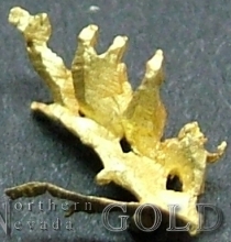 Specimen Gold 2225 Roch