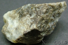 Specimen Gold 2150NL