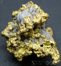 Gold Nugget 2156EUG