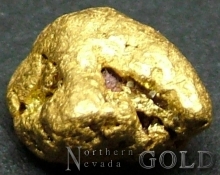 Gold Nugget 2180MX