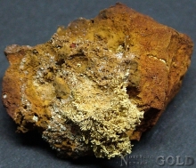Specimen Gold 2185PAM