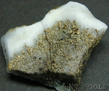 Specimen Gold 2186ST