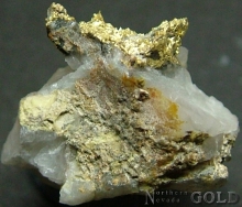 Specimen Gold 2187 