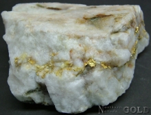 Specimen Gold 2231HV