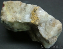 Specimen Gold 2232VC
