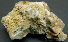 Specimen Gold 2390R