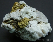 Specimen Gold 2398Shosh