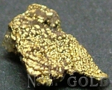 Specimen Gold 2400Tsk