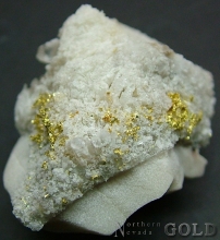 Specimen Gold 2406Shosh