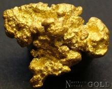 Gold Nugget 2438RC