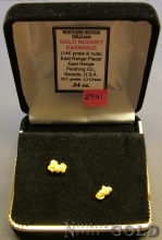 Gold Nugget Earrings 2941J