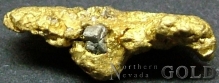 Specimen Gold 2042CH