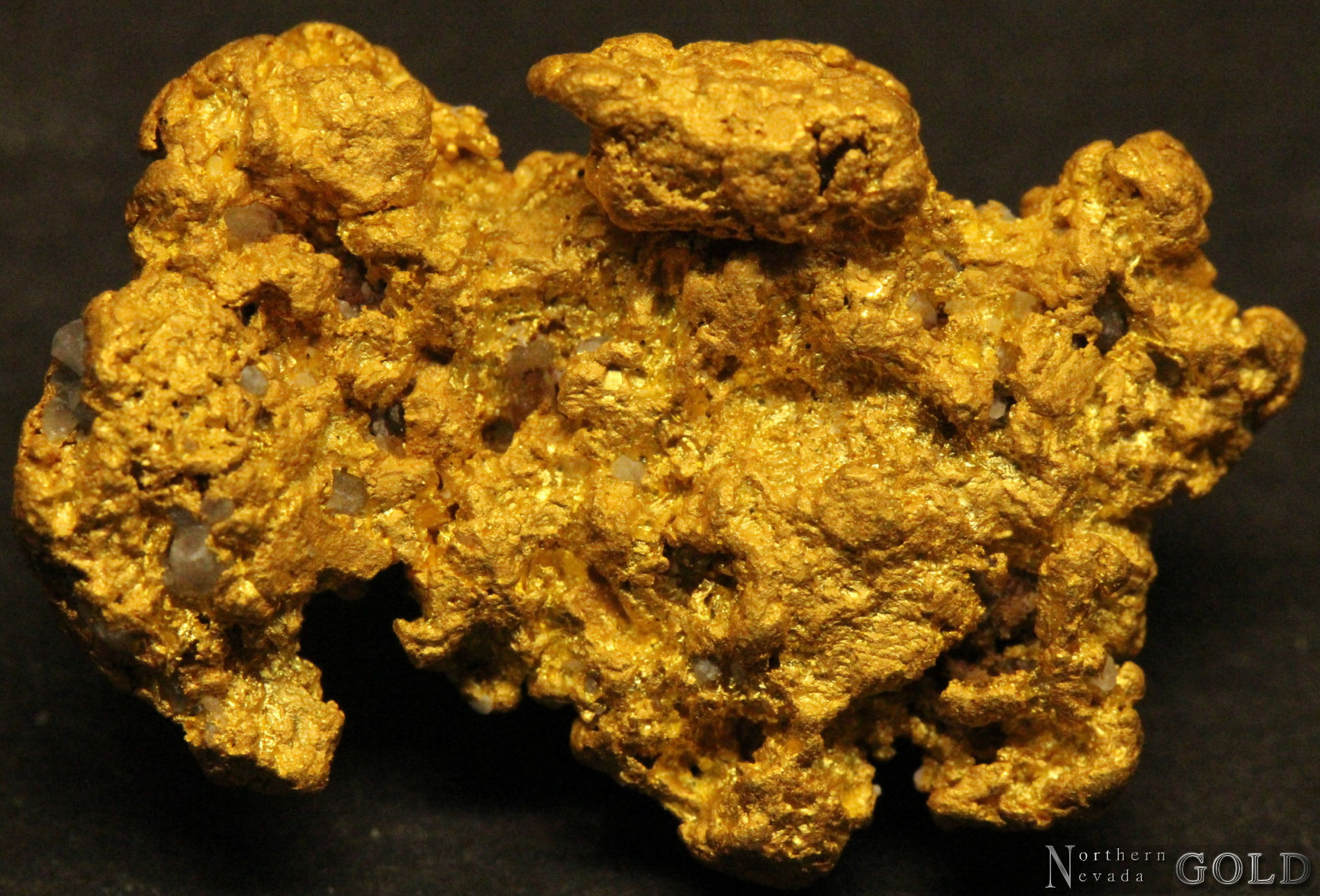 the golden nugget gold nugget