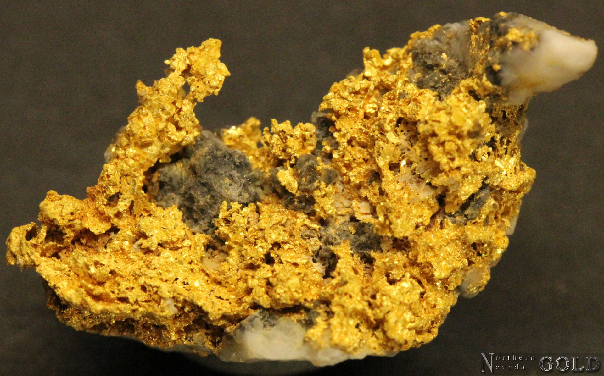 Specimen Gold 4288CQM
