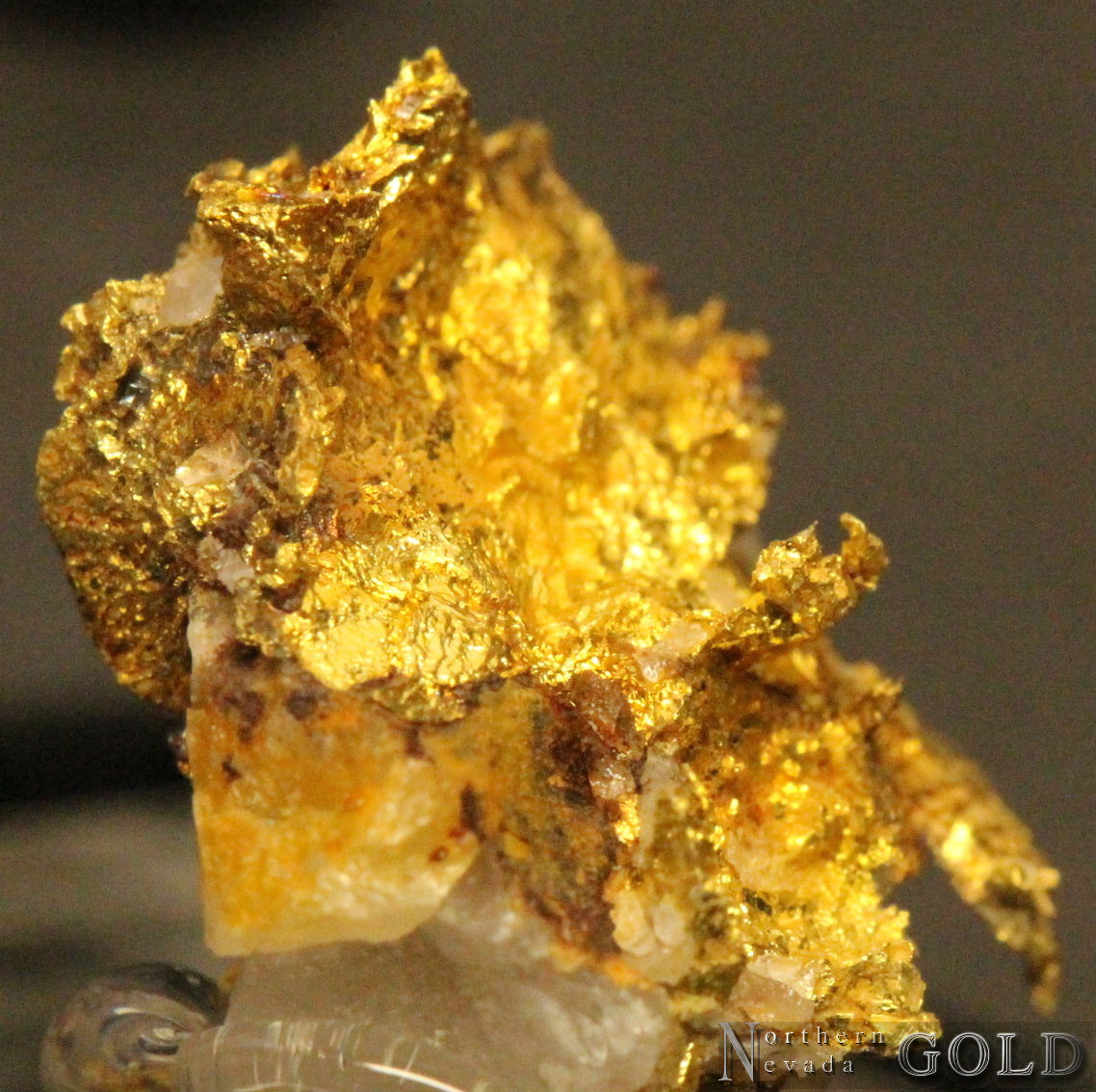 Specimen Gold 4339HV