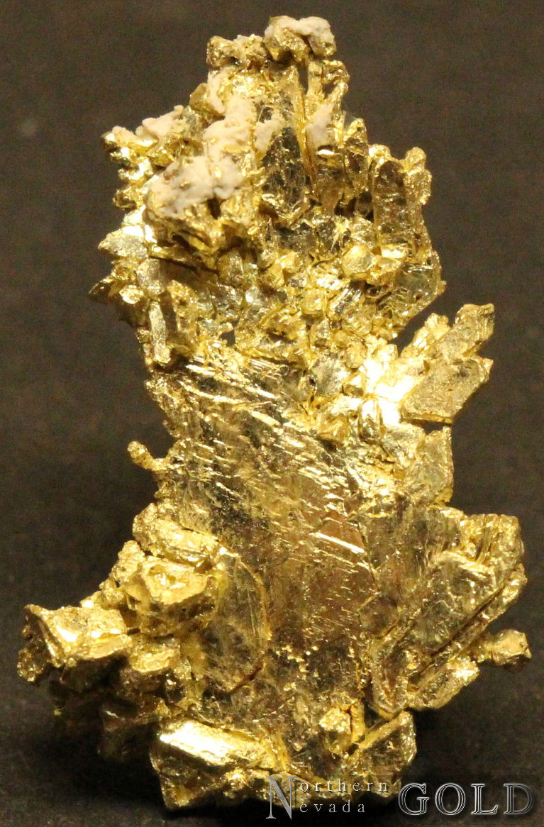 Specimen Gold 4398