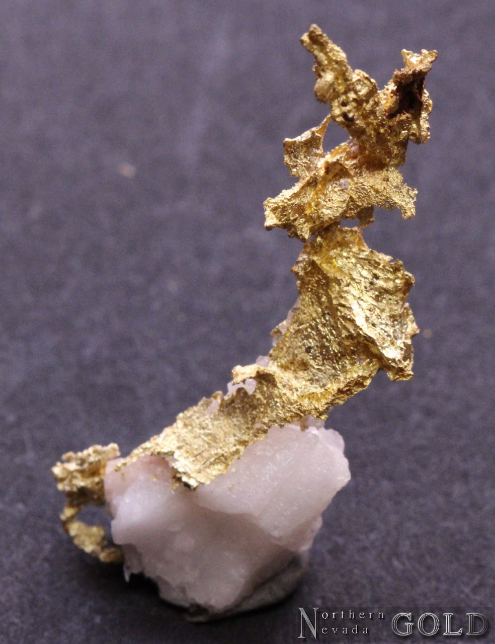 Specimen Gold 4915MR