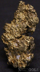 gold_nugget_5027ml-b