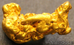 gold_nugget_5545