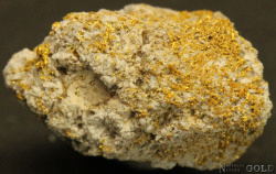 gold_specimen_4682olg