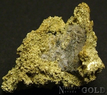 Specimen Gold 2652KH