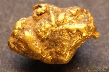 gold_nugget-5649