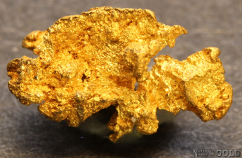 gold_nugget-5672tm