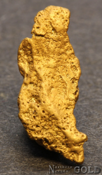 gold_nugget-5673tm-c