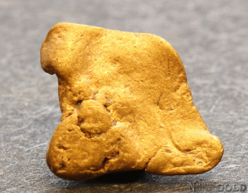 gold_nugget-5677tm