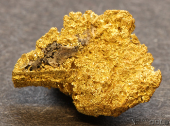 gold_nugget-5679tm