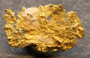 gold_nugget-5683rh
