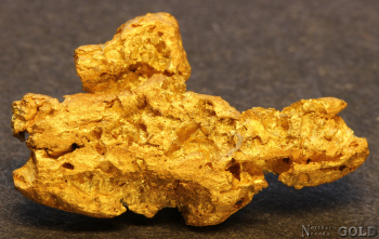 gold_nugget5695-d
