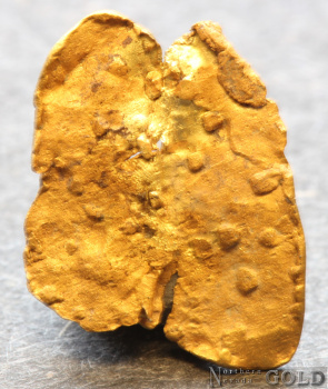 gold_nugget5703-b