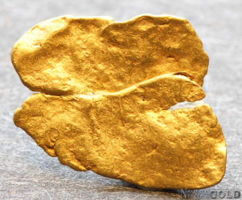 gold_nugget5703