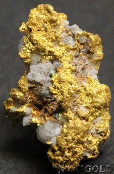 gold_nugget_4749lm-b