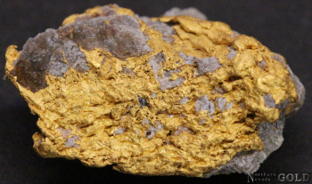 gold_nugget_4841