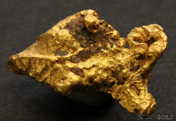 gold_nugget_4953