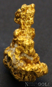 gold_nugget_5391-c