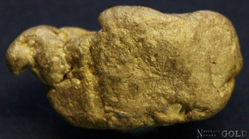 gold_nugget_5396