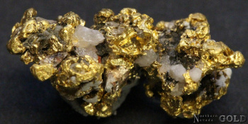 gold_nugget_5397