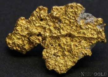 gold_nugget_5398-b