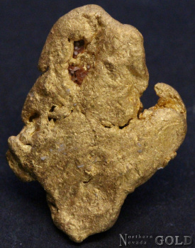 gold_nugget_5402-b